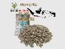 Green Coffee "IKI WAE" Da'Gabo, Grade 1 Arabica, East Jawa Bondowoso Indonesia, Washed